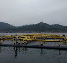 Diameter 10-40m Floating Cage Fish Farming DN250-DN400