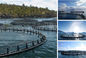 Aquaculture Net HDPE PE100 Fish Farming Cage 30-160m Perimeter